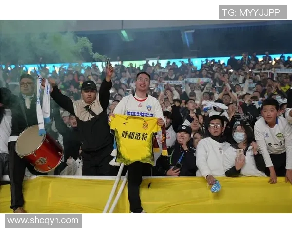 武汉足球队崛起之路联合会杯背后的奋斗与荣耀